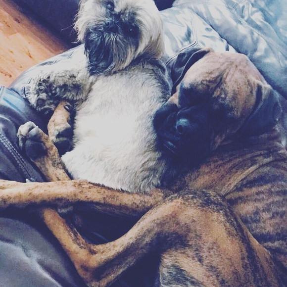 Welcome To theladychic Closet - Picture 8 of 8